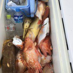 寿裕 （YOSHIHIRO） 釣果