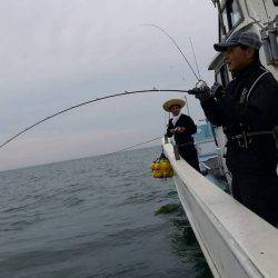 第五慶門丸 釣果