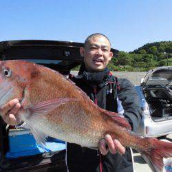 大進丸（新潟） 釣果