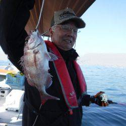 遊漁船 幸友丸 釣果