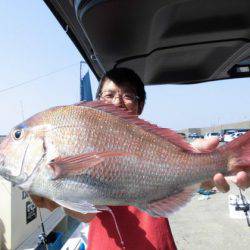 大進丸(新潟) 釣果