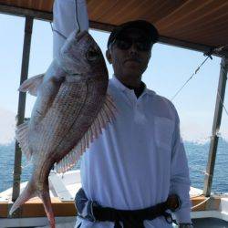 遊漁船 幸友丸 釣果