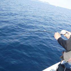 BlueNote Fishing Taxi 釣果