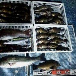 フィッシングガイド りょう 釣果