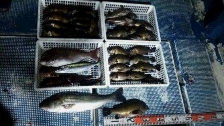 フィッシングガイド りょう 釣果