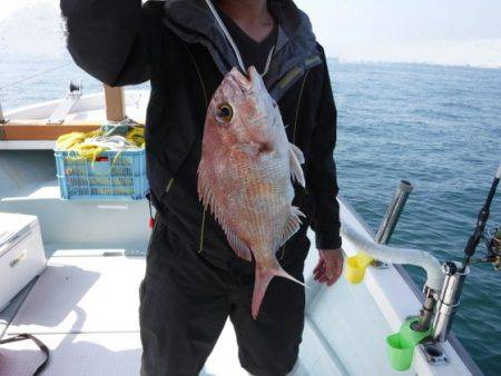 遊漁船 幸友丸 釣果