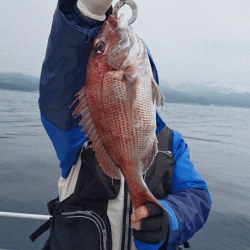 遊漁船ブルーウッズ 釣果