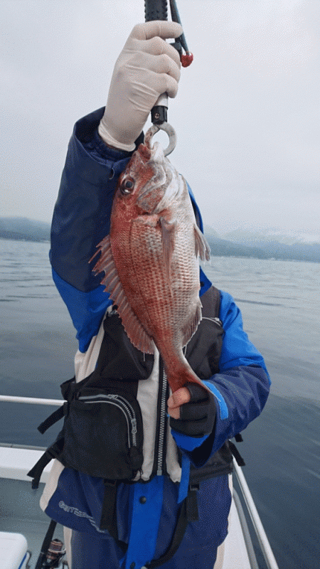 遊漁船ブルーウッズ 釣果