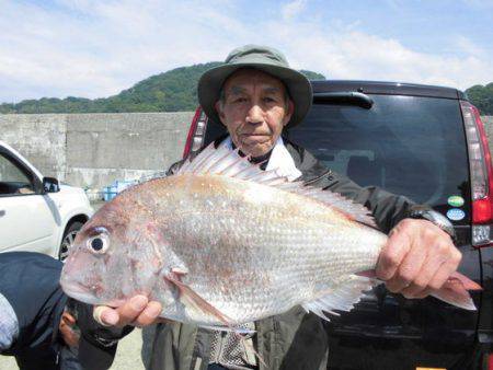 大進丸(新潟) 釣果