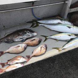 寿裕 （YOSHIHIRO） 釣果