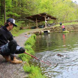 小菅トラウトガーデン 釣果