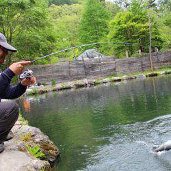 小菅トラウトガーデン 釣果