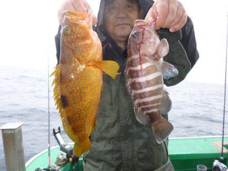 真祐丸 (しんゆうまる) 釣果