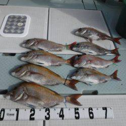 遊漁船 幸友丸 釣果