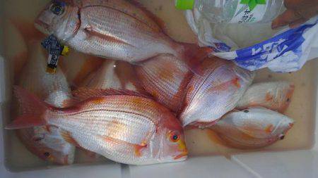 遊漁船 新鋭丸 釣果