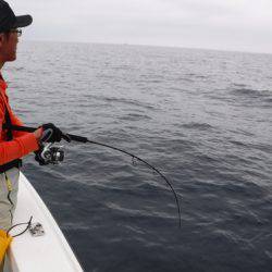 BlueNote Fishing Taxi 釣果