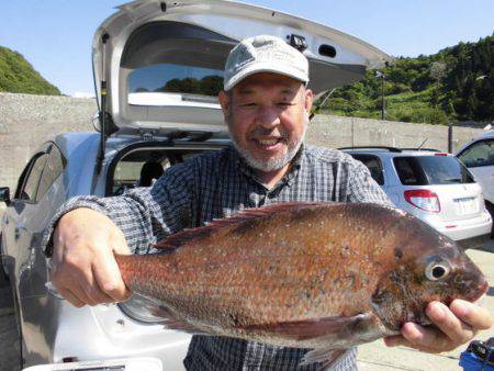 大進丸（新潟） 釣果