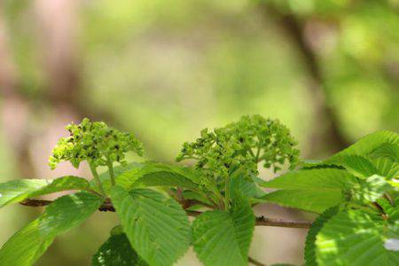 小菅トラウトガーデン 釣果