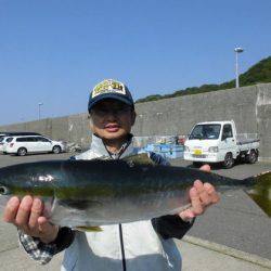 大進丸(新潟) 釣果