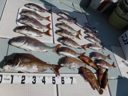 遊漁船 幸友丸 釣果