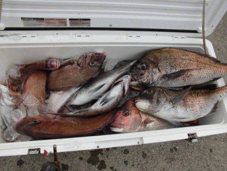 大進丸(新潟) 釣果