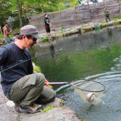 小菅トラウトガーデン 釣果