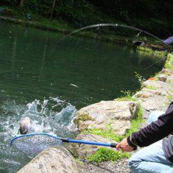 小菅トラウトガーデン 釣果