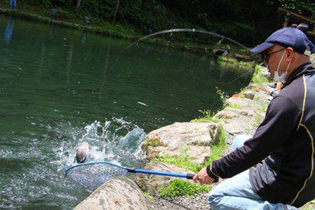 小菅トラウトガーデン 釣果