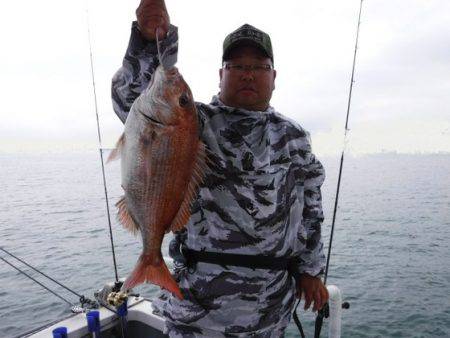 遊漁船 幸友丸 釣果