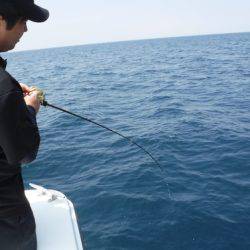 BlueNote Fishing Taxi 釣果