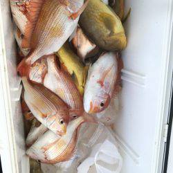 寿裕 （YOSHIHIRO） 釣果