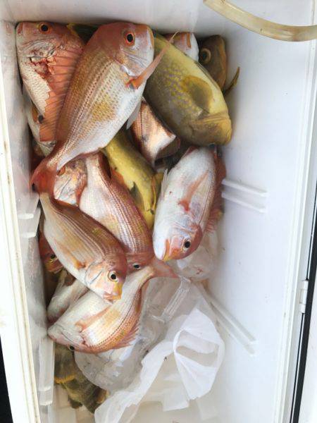 寿裕 （YOSHIHIRO） 釣果