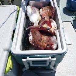 遊漁船ブルーウッズ 釣果