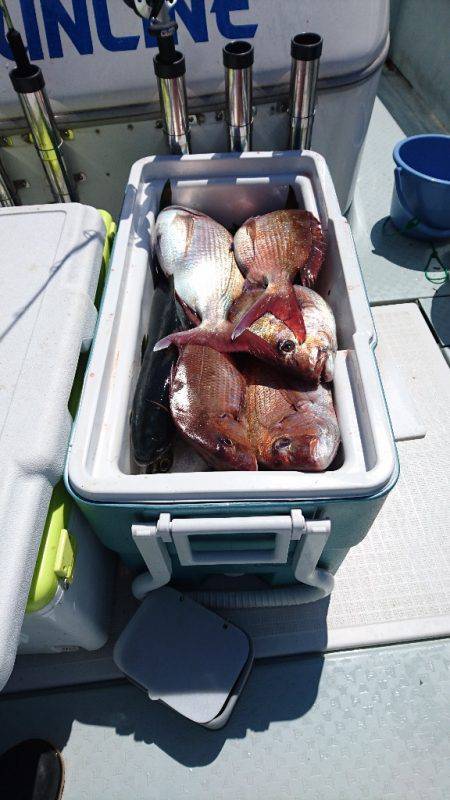 遊漁船ブルーウッズ 釣果