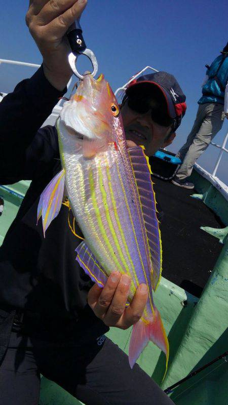 遊漁船 新鋭丸 釣果