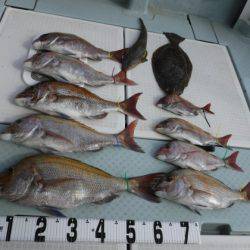 遊漁船 幸友丸 釣果