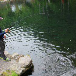 小菅トラウトガーデン 釣果