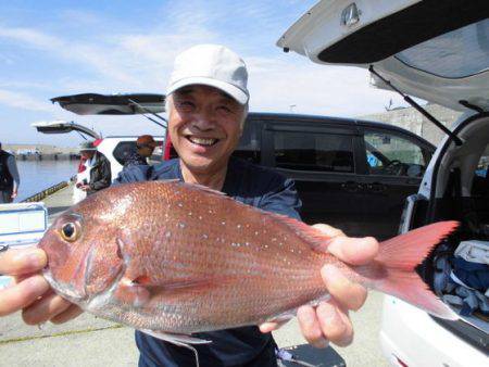 大進丸(新潟) 釣果