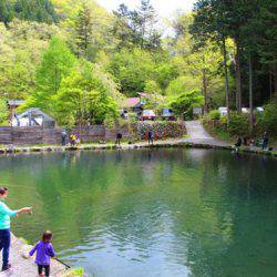 小菅トラウトガーデン 釣果