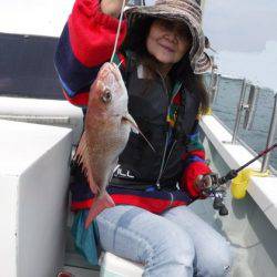 遊漁船 幸友丸 釣果