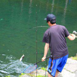 小菅トラウトガーデン 釣果