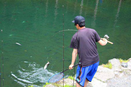 小菅トラウトガーデン 釣果