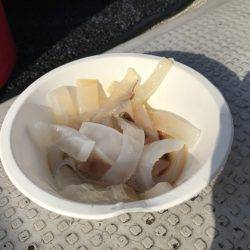 寿裕 （YOSHIHIRO） 釣果