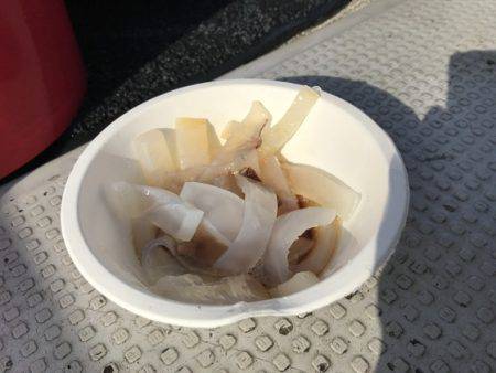 寿裕 （YOSHIHIRO） 釣果