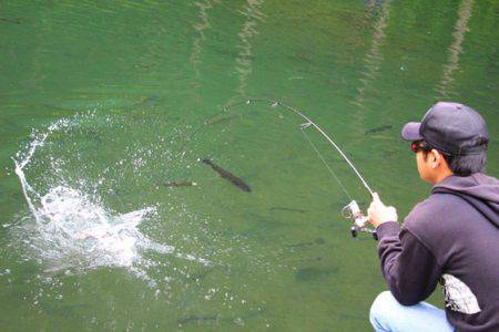 小菅トラウトガーデン 釣果