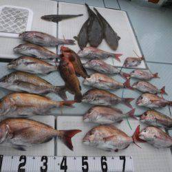 遊漁船 幸友丸 釣果