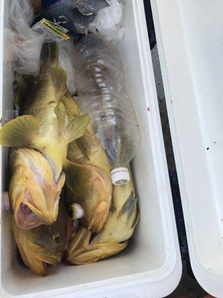 寿裕 （YOSHIHIRO） 釣果