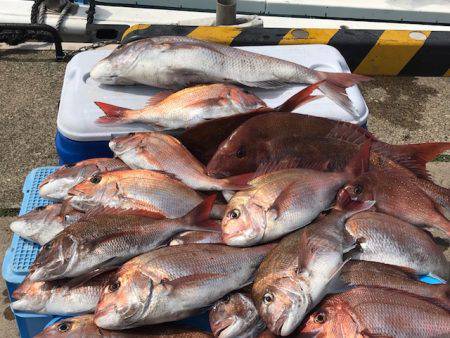 さとみ丸 釣果