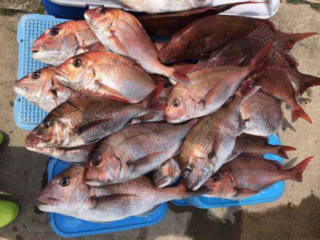 さとみ丸 釣果