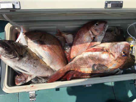 さとみ丸 釣果
